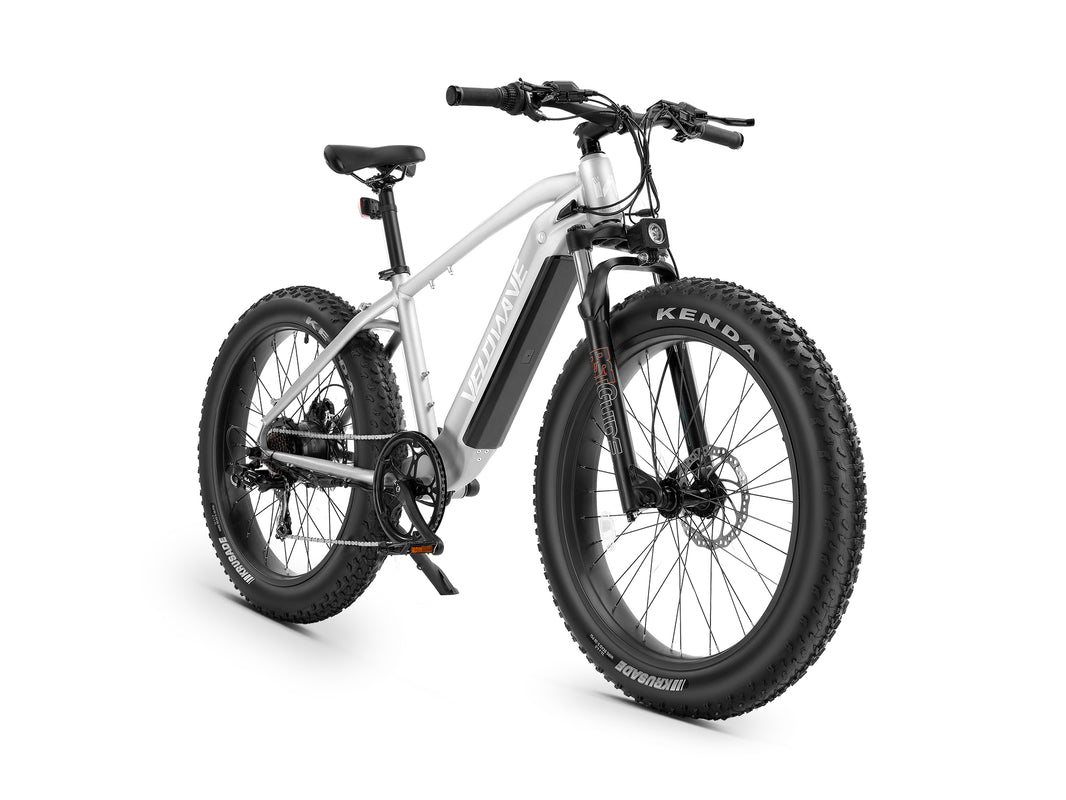 Ranger Fat Tire Electric Bike