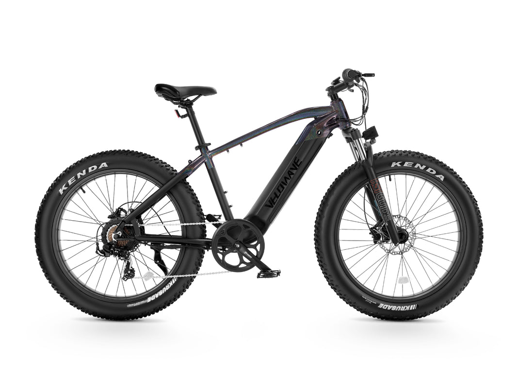 Ranger Fat Tire Electric Bike
