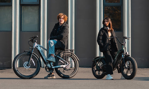 Velowave Electric Bikes
