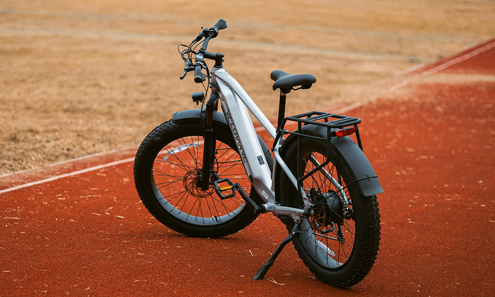 Ranger 3.0 Fat Tire Electric Bike