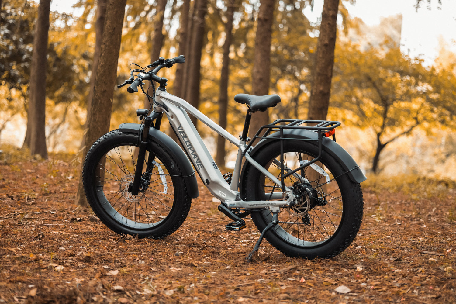 Tech & Terrain Mastered: A Deep Dive Into the VELOWAVE Ranger 3.0