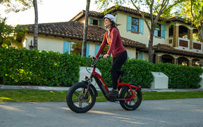 Velowave Utility Ebikes