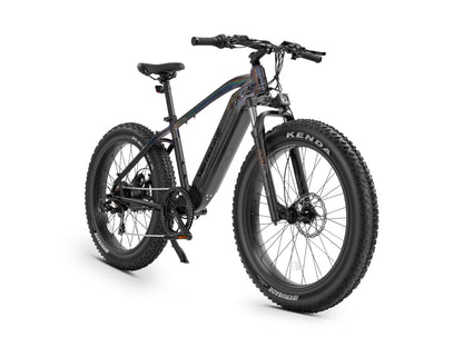 Ranger Fat Tire Electric Bike